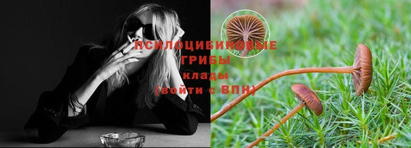 mix Белокуриха