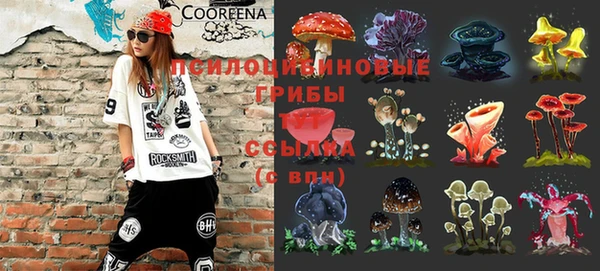 соль ск Беломорск